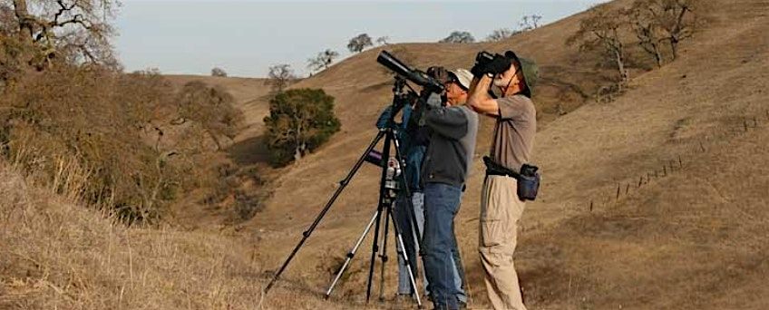 Birding at Sierra Vista Open Space Preserve!