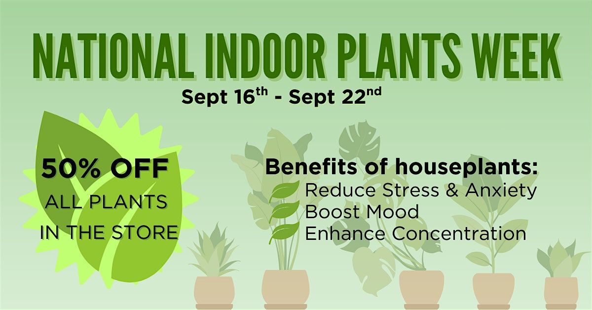 Houseplant Half Off Sale!
