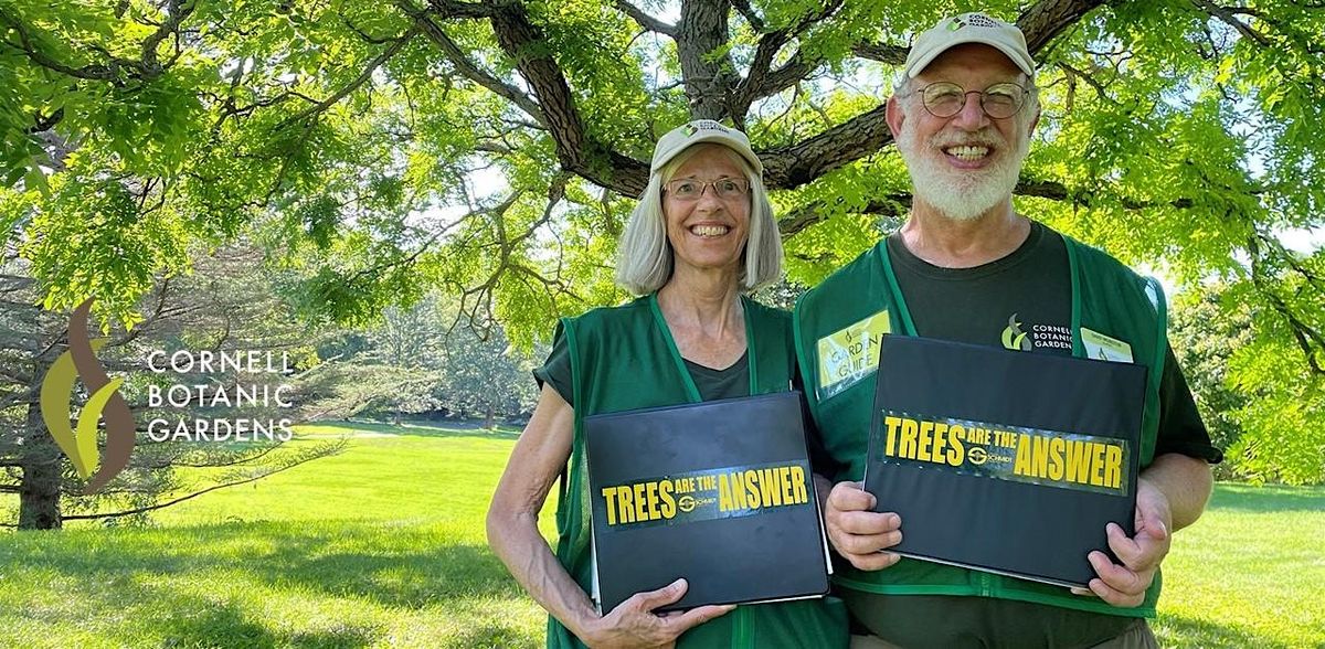 The Evolution of Trees --  A Walk Through Time