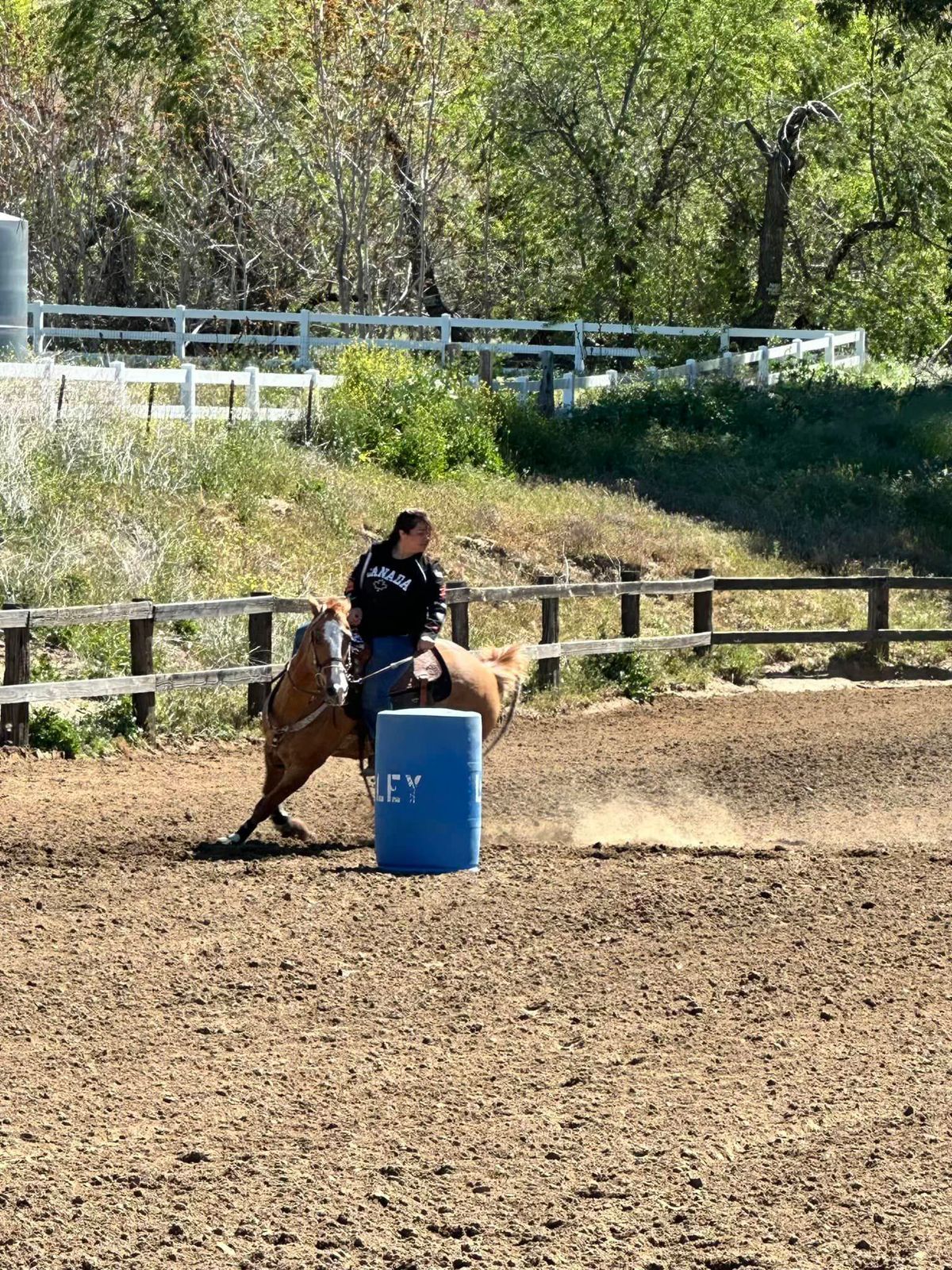 LVIA Gymkhana Playday - September 2024