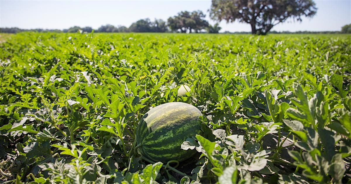 Small Farms Financing Workshop