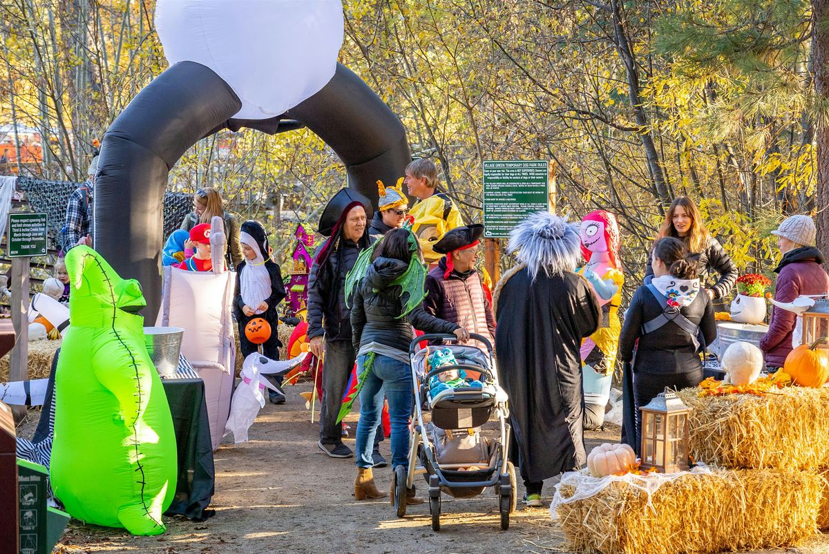 2025 Trail of Treats & Terror
