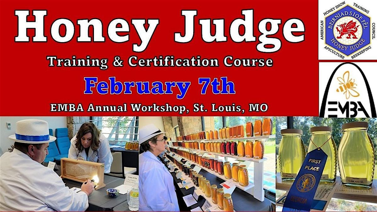 Introductory Honey Judge Training (Level 1)