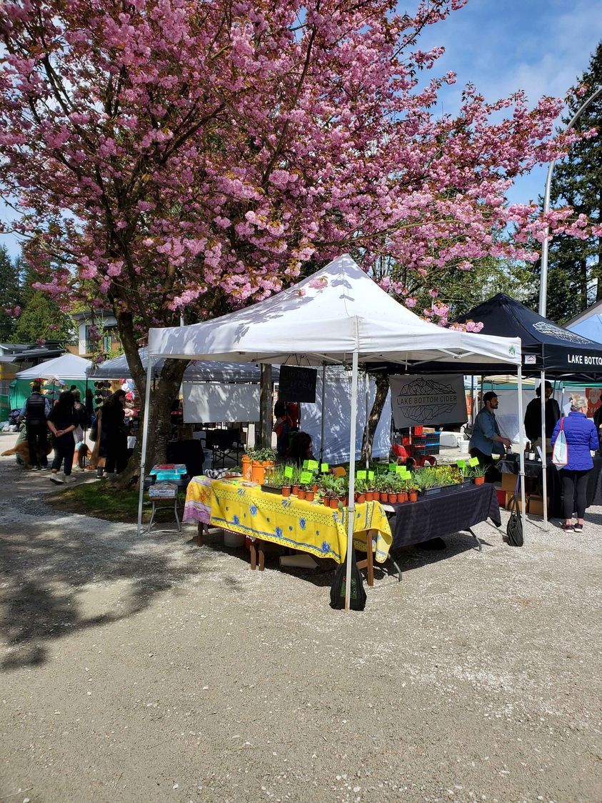 Fort Langley Village Farmers Market Opening Day