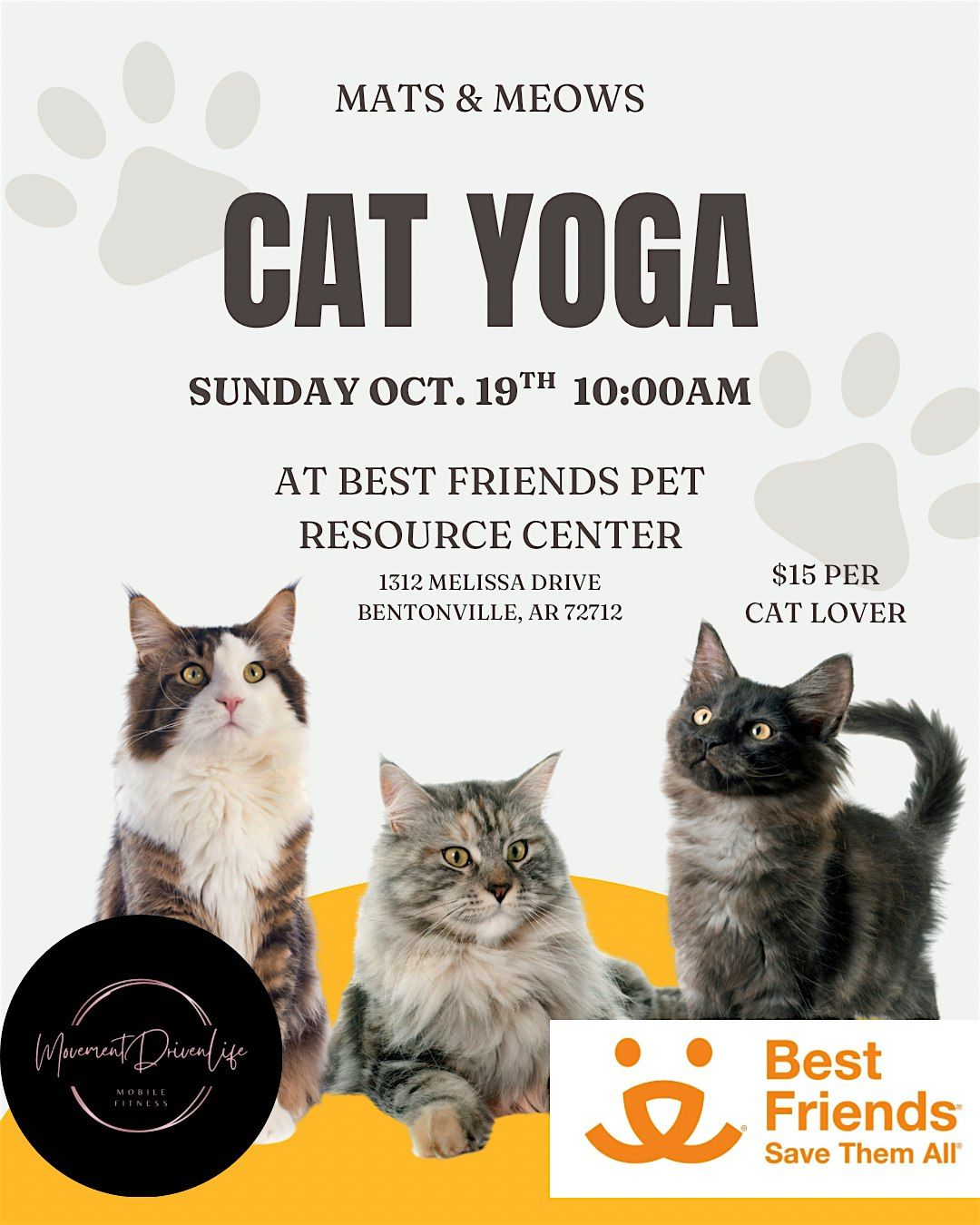 Mats & Meows, Cat Yoga at Best Friends