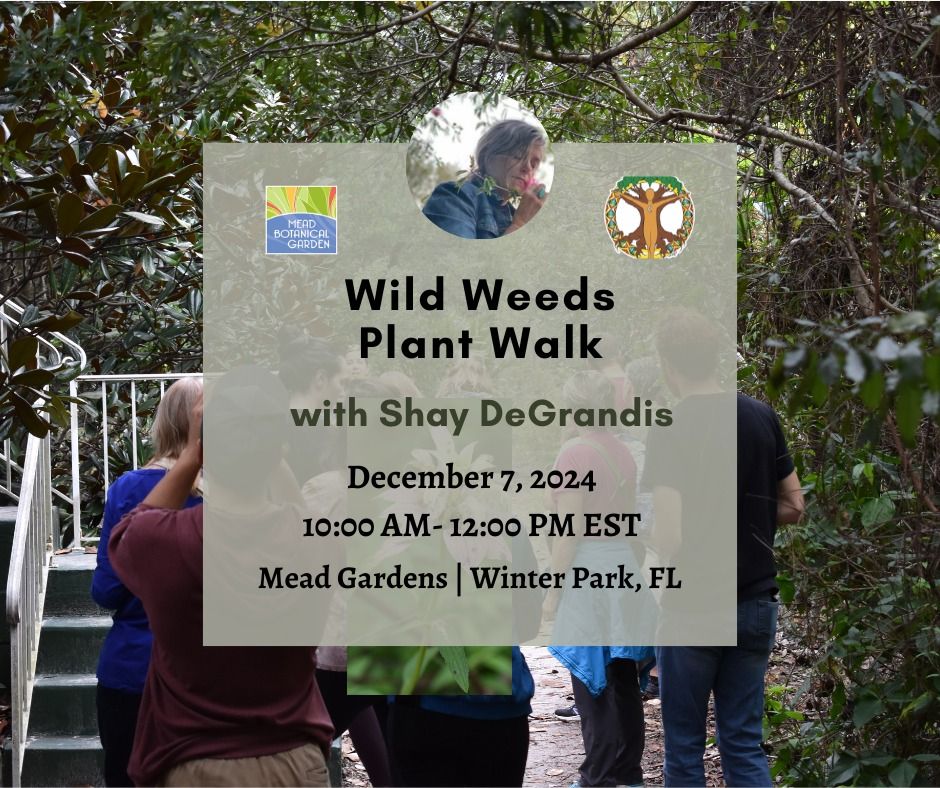 Wild Weeds Plant Walk at Mead Garden with Shay DeGrandis