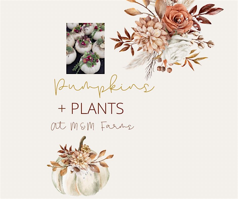 Pumpkins & Plants