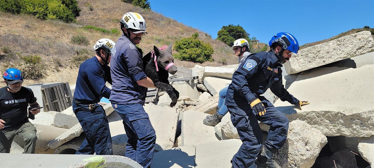 K9 MEDIC Course