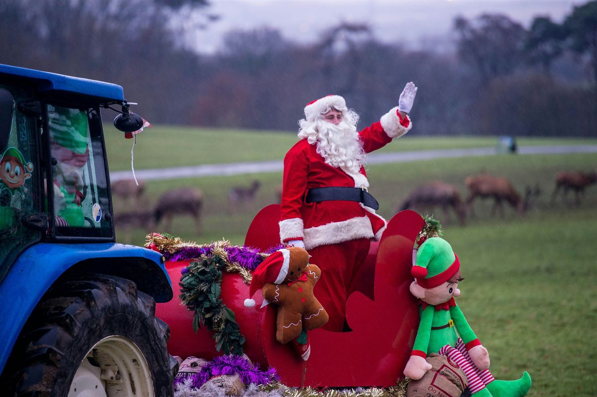 Santa Deer Feeds 2025