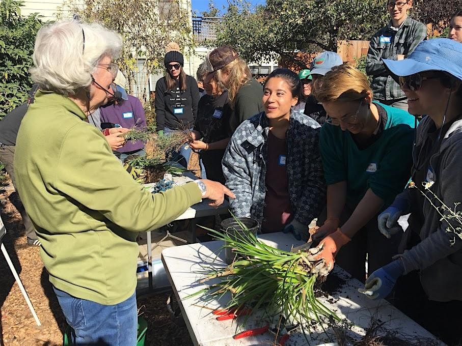 Plant Propagation with Pam Peirce