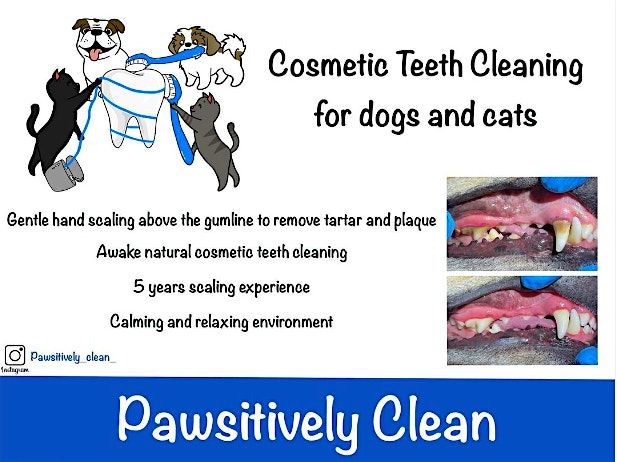 Cosmetic Teeth Cleaning for Dogs & Cats Event