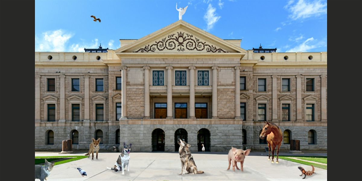 Effective Legislative Advocacy for Animals
