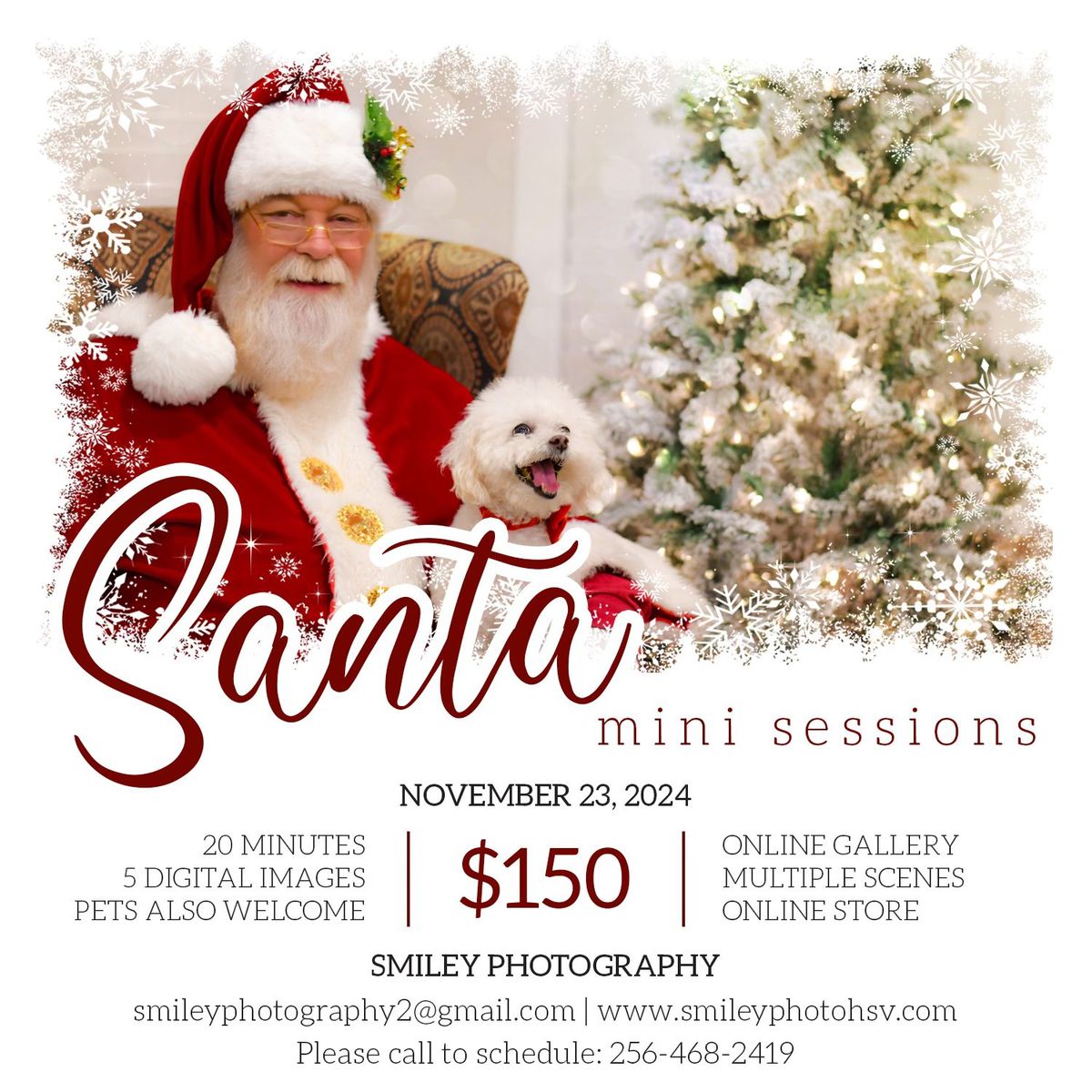 Christmas with Santa Experience