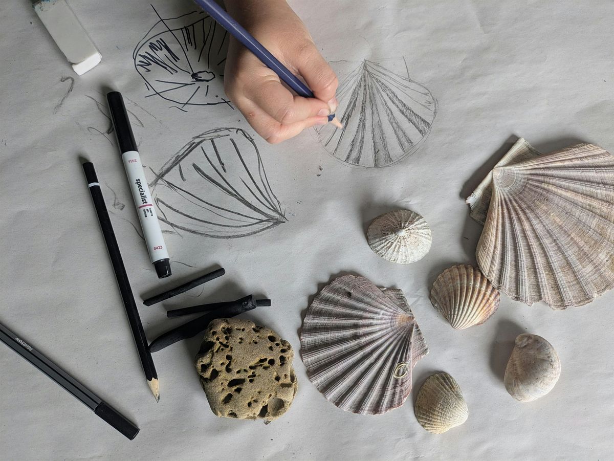 Art CPD for Schools:  Essentials: Teaching Drawing in the Primary Classroom