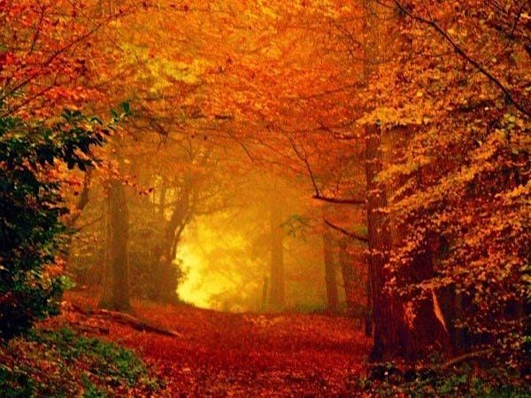 Wise Woman Yoga Workshop with Mary Betteridge