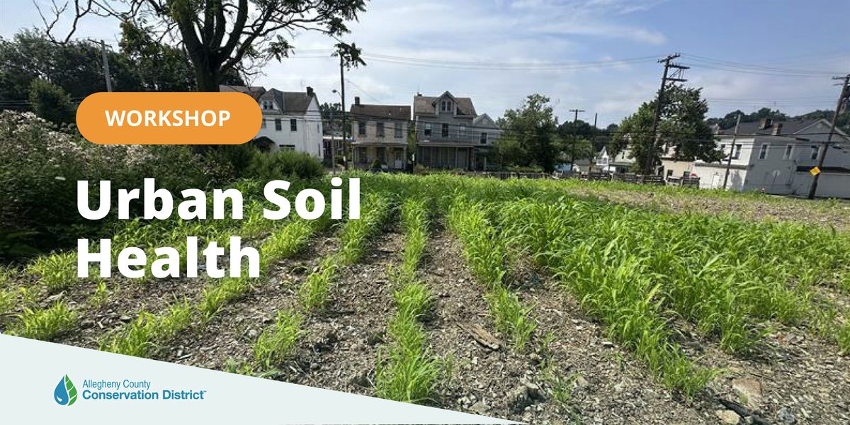 Urban Soil Health Workshop | Soil Sisters