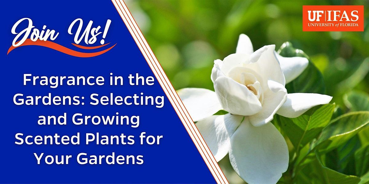 Fragrance in the Garden: Selecting and Growing Scented Plants for Your Gard