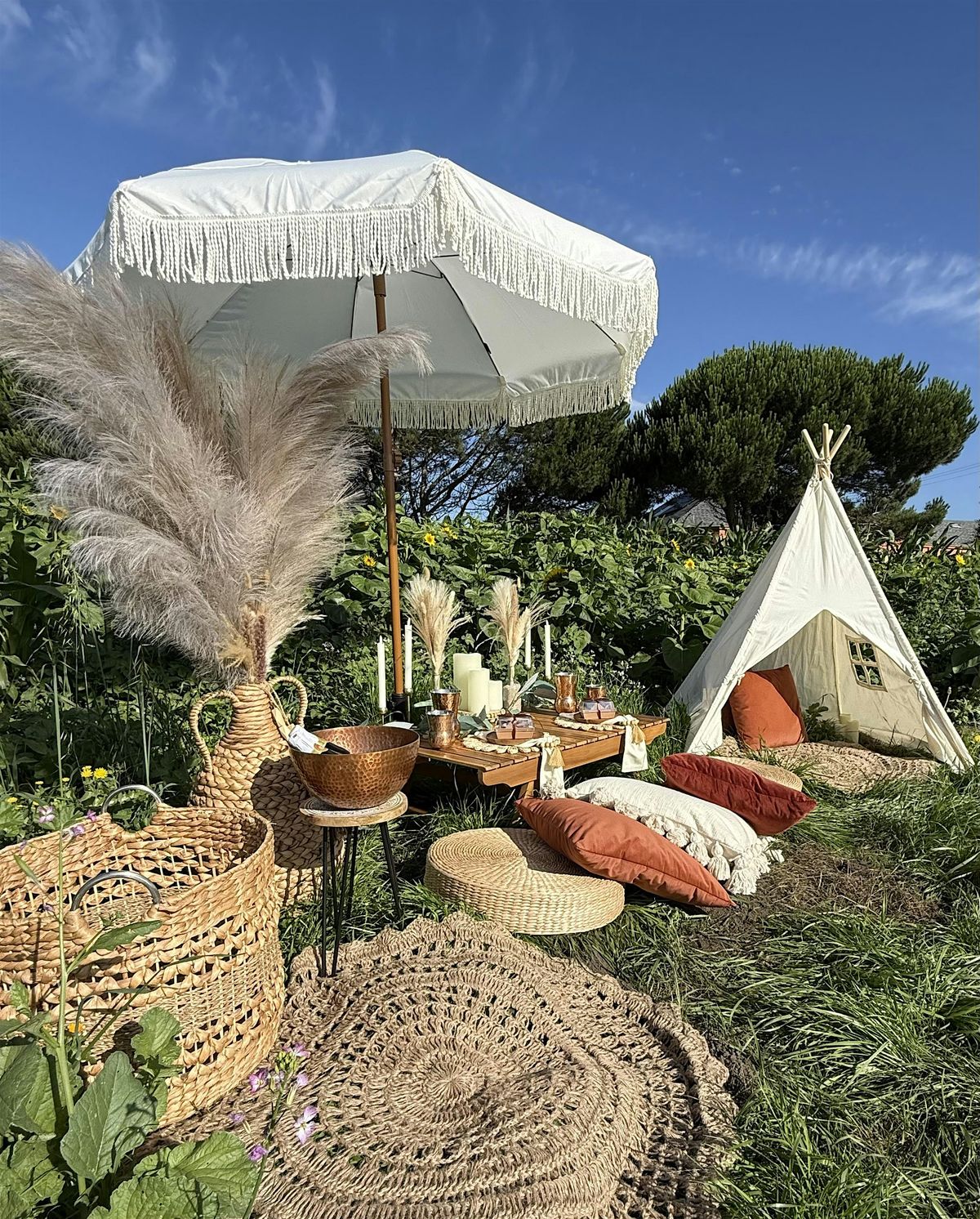 Picnics on the Farm