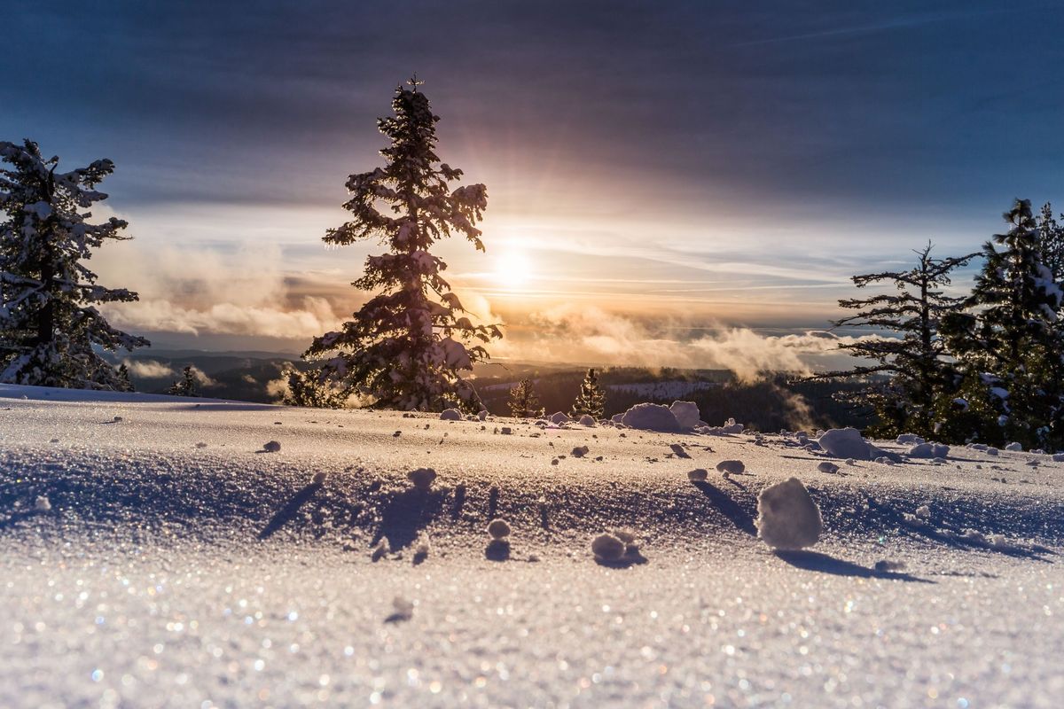 Snowshoe Camping Above Yosemite Valley! (Beginner friendly)