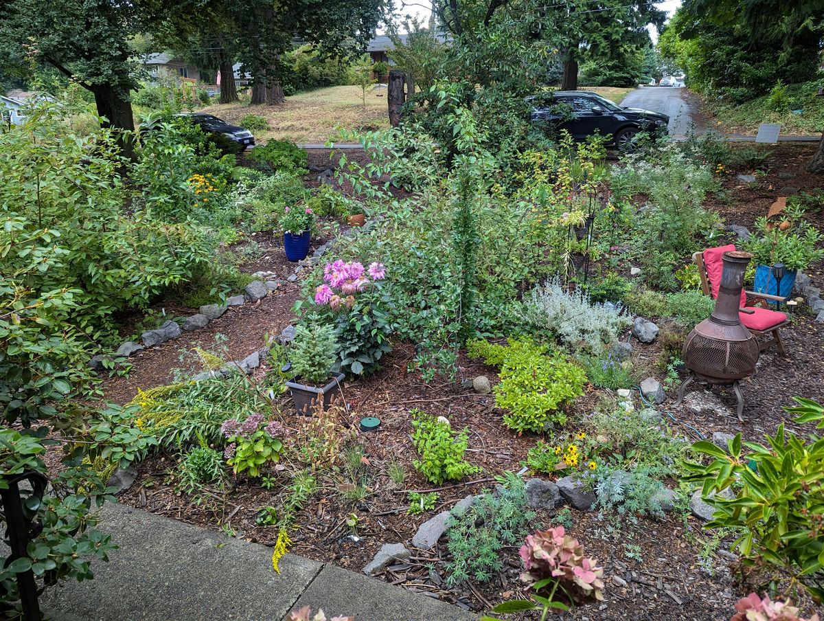 Urban Landscaping with Native Plants: In-Person Plant Talk