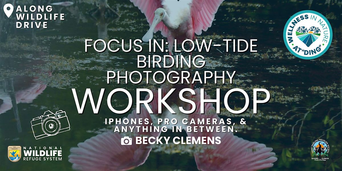 Focus In: Low-Tide Birding Photography Workshop