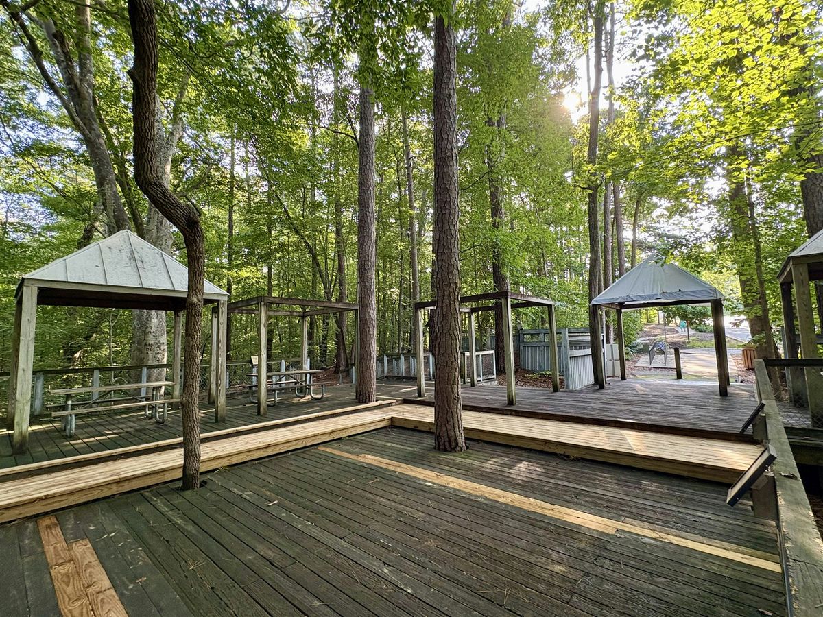 Yoga in the Woods