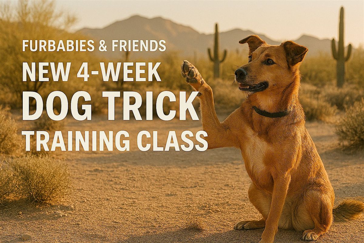 Dog Training Group Class for Beginner Dog Tricks - 4 Weeks - Glendale, AZ