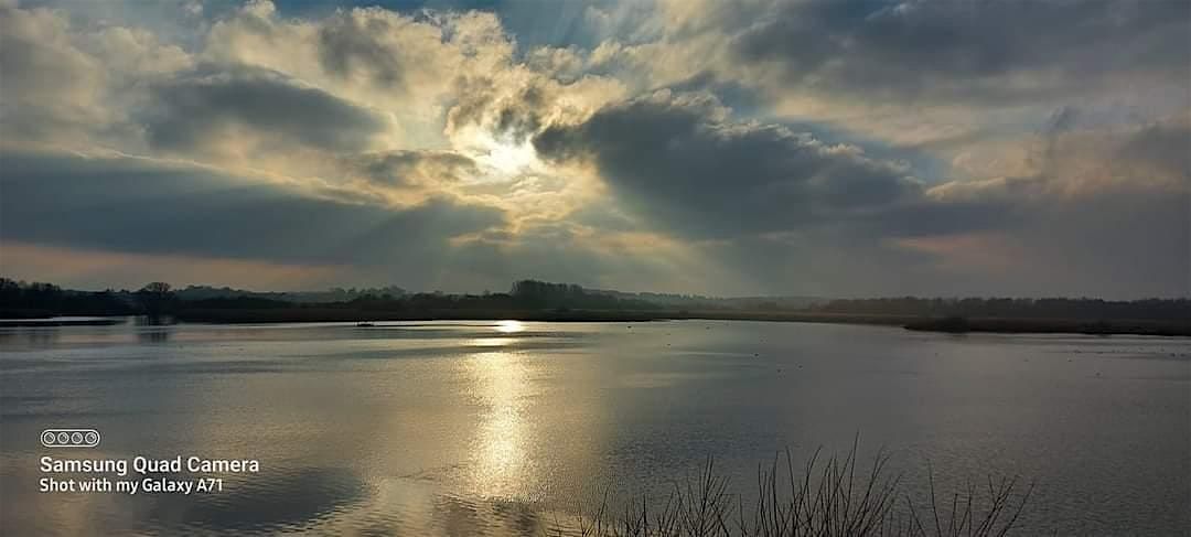 Stodmarsh NNR Bat Walk
