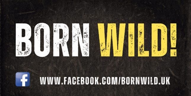 BORN WILD at THE CROWN 