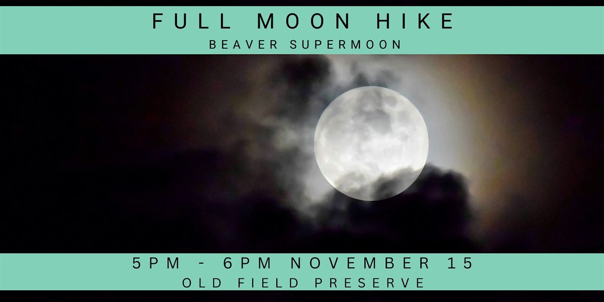 Full Moon Hike: Beaver Supermoon