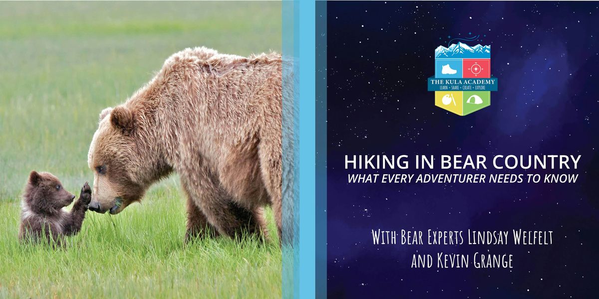 Hiking in Bear Country: What Every Adventurer Needs to Know