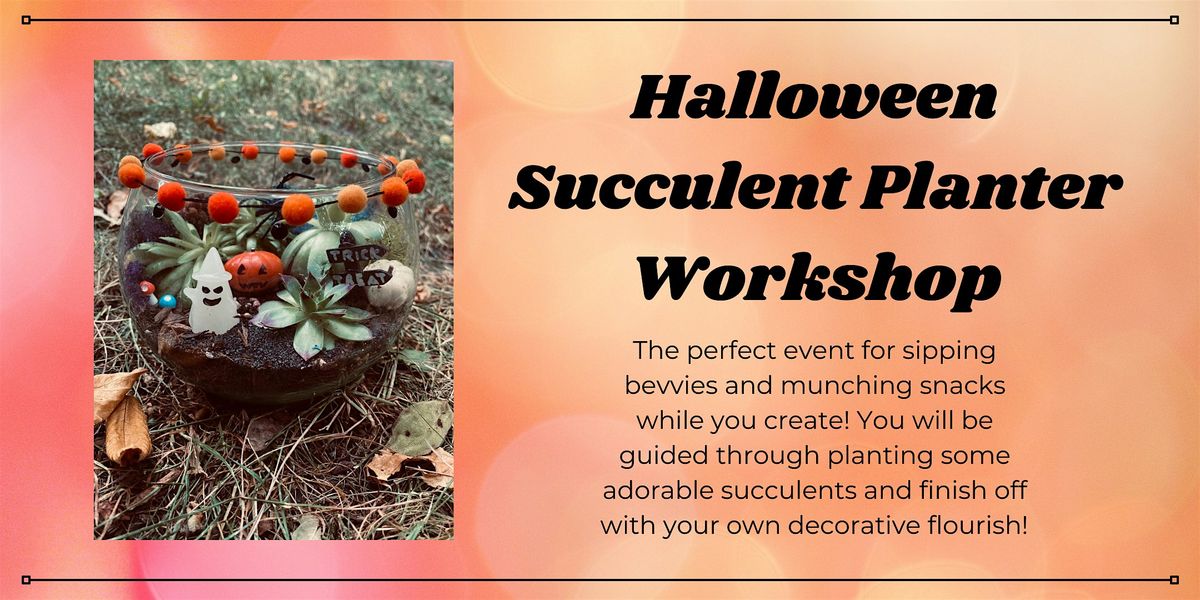 Succulent Planter Workshop