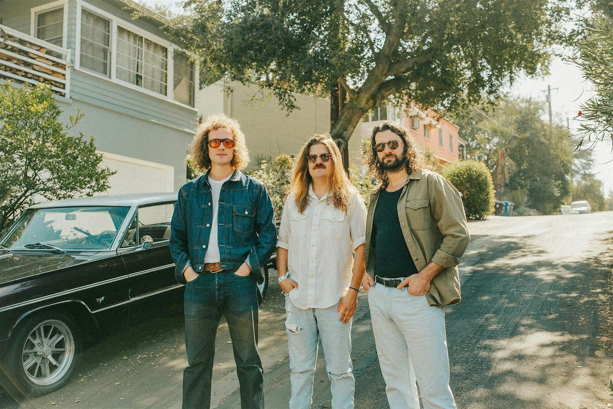 Triptides @ the Alibi, Telluride CO - January 23