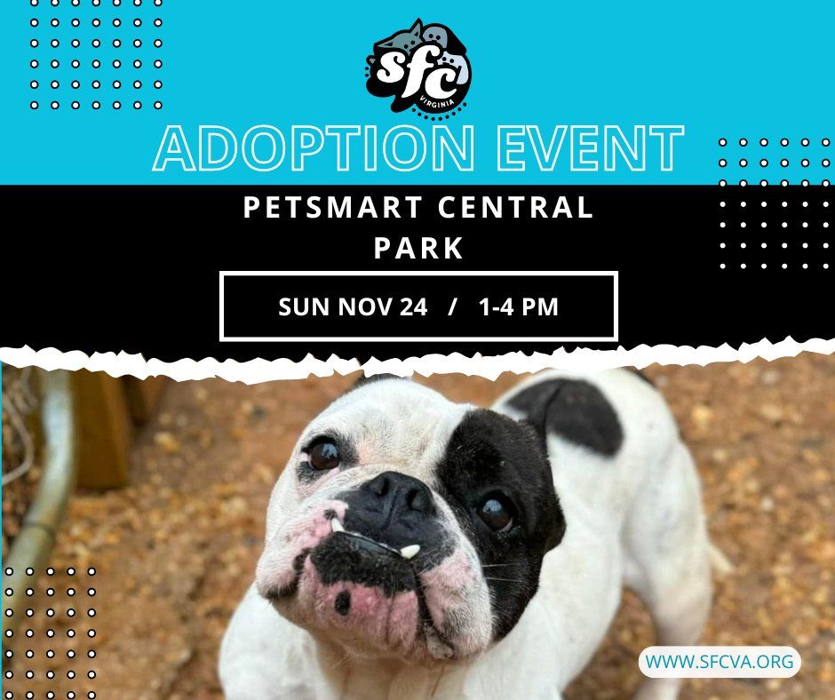 11\/24 Adoption Event at Petsmart Central Park