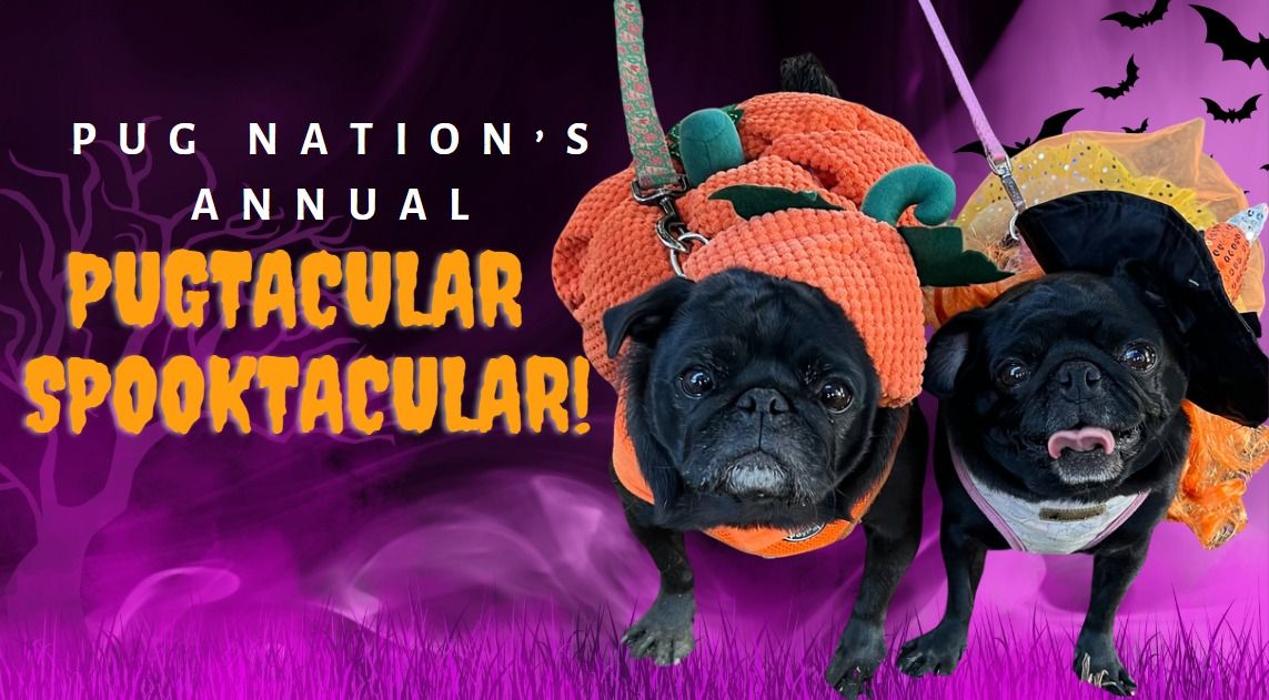 Pug Nation's Annual Pugtacular Spooktacular!