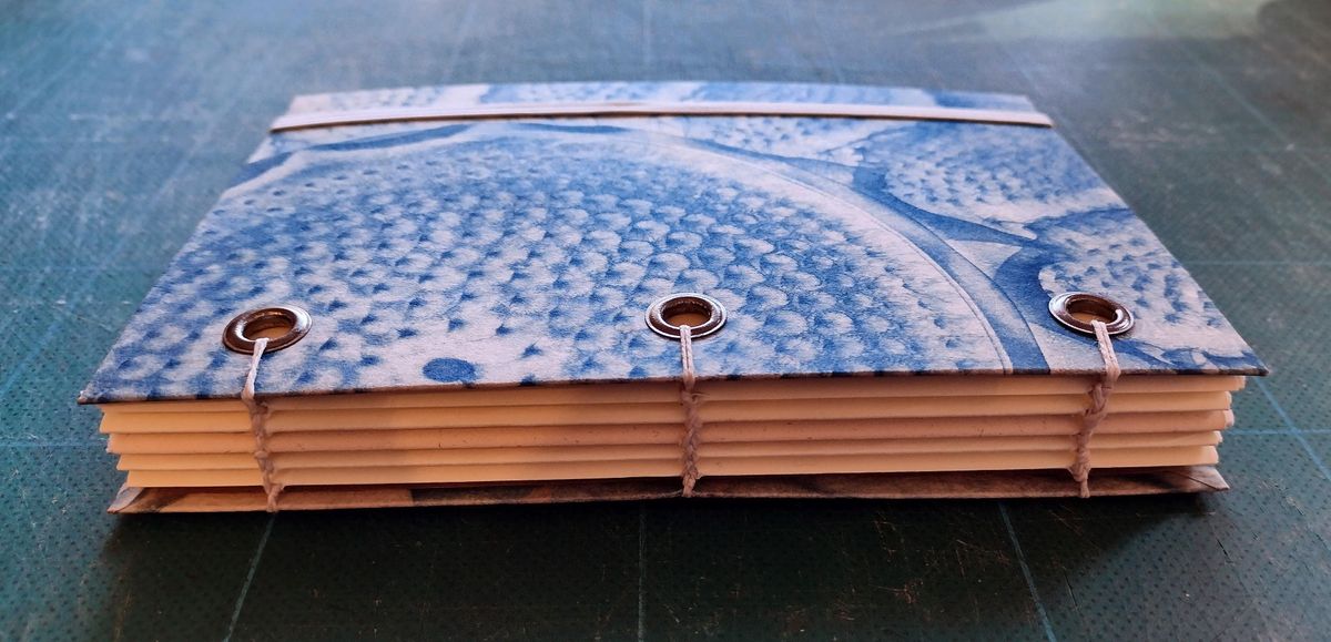 Coptic Stitch Binding: #5 in A Season of Book Making