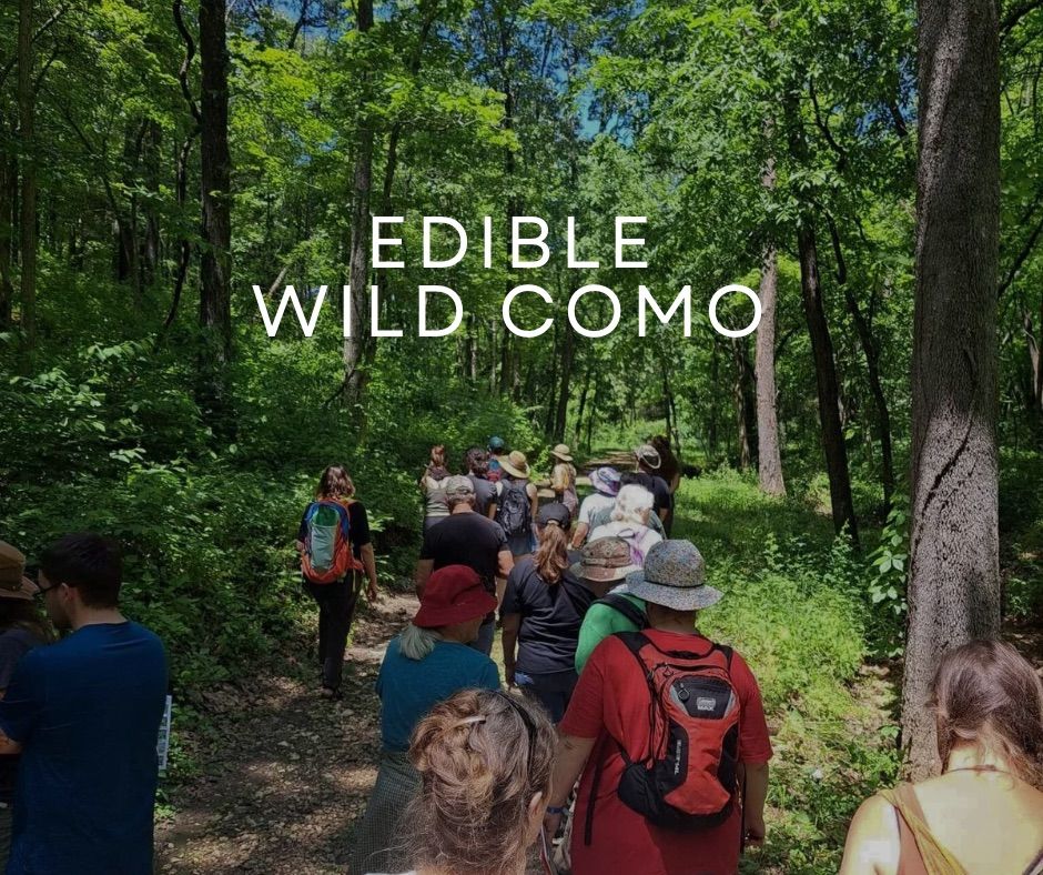 Wild Edibles Walk