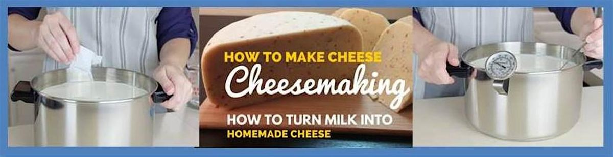 Introduction to Cheesemaking