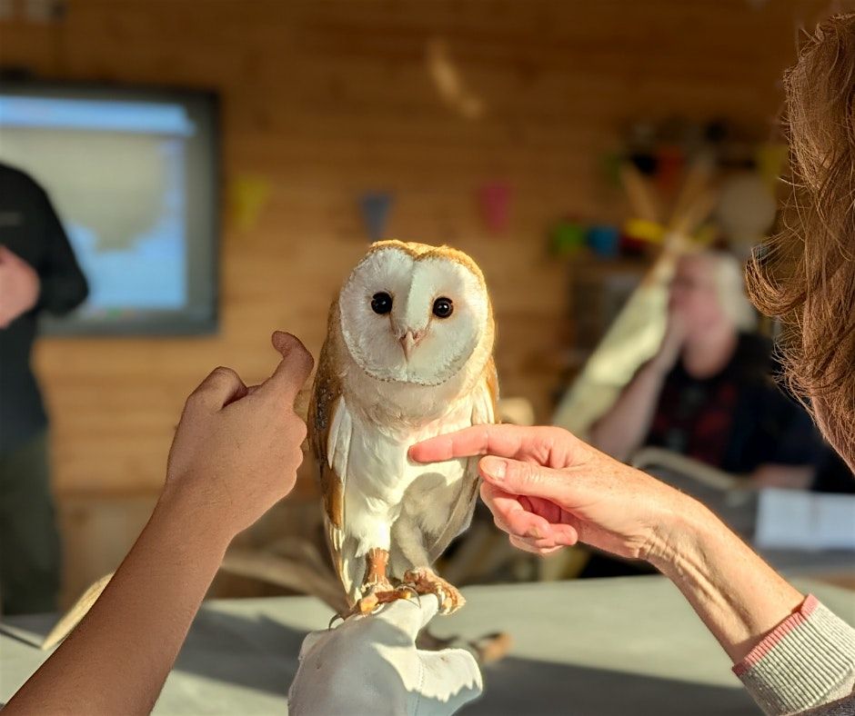 Barn Owl Meet and Greet