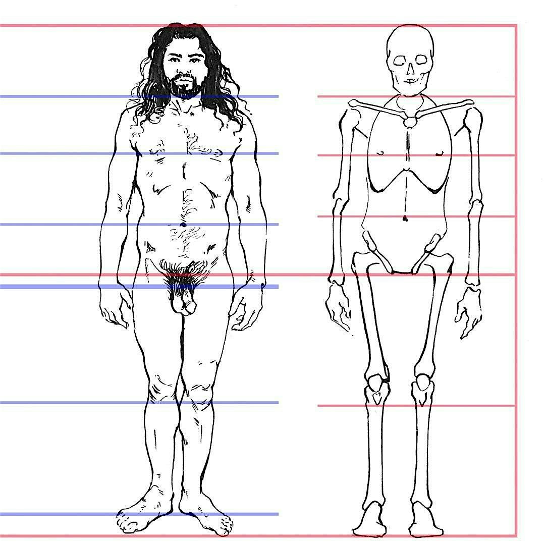 Tutored Life Drawing: Proportions