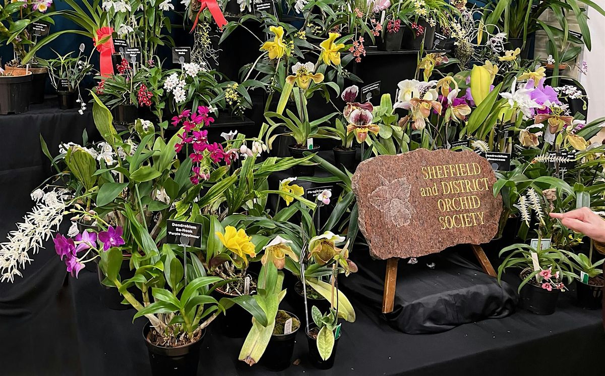 Sheffield Orchid Show and Exotic Plant Fair