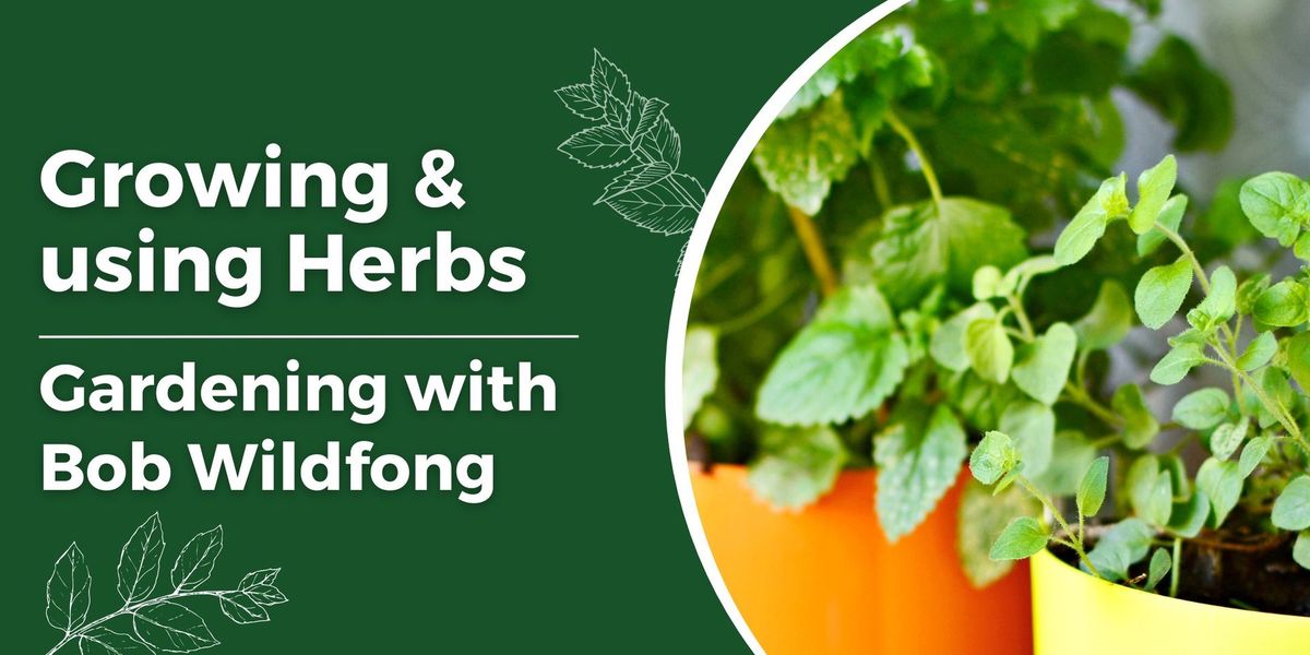 Gardening Series: Growing and Using Herbs
