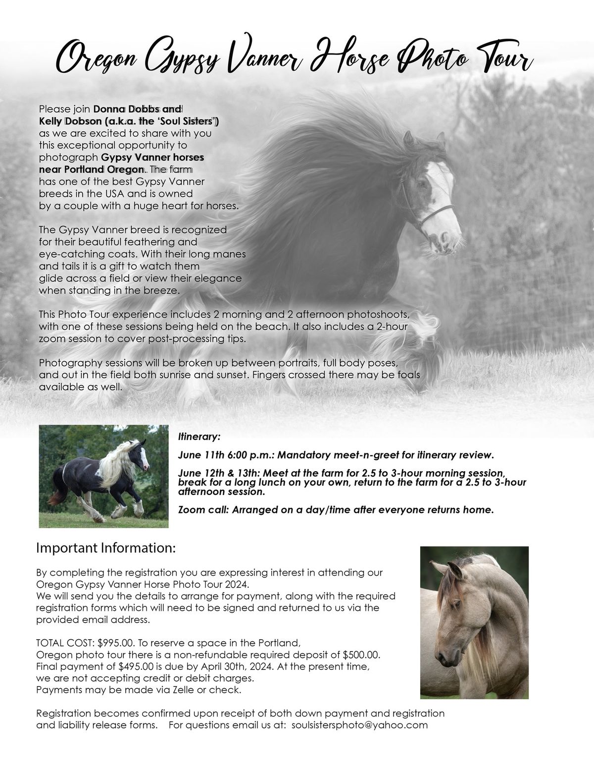 Oregon Gypsy Vanner Horse Photo Tour. $995.00