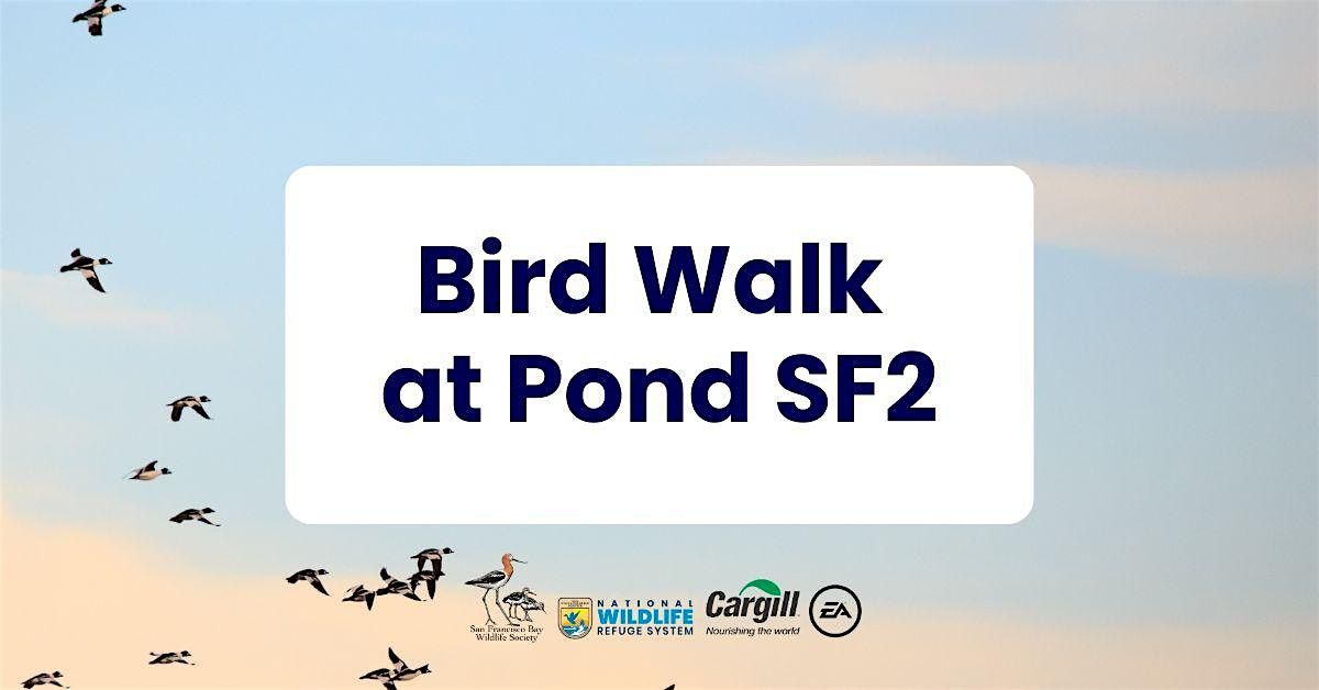 Bird Walk at  Pond SF2