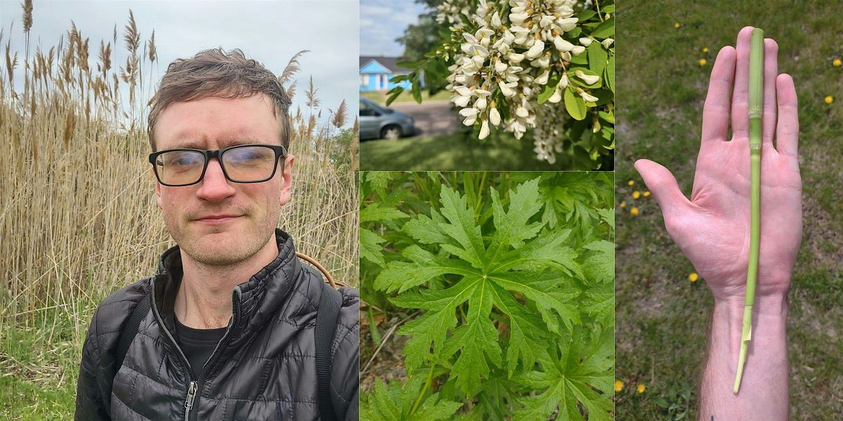 Foraging Walk in Jackson Park