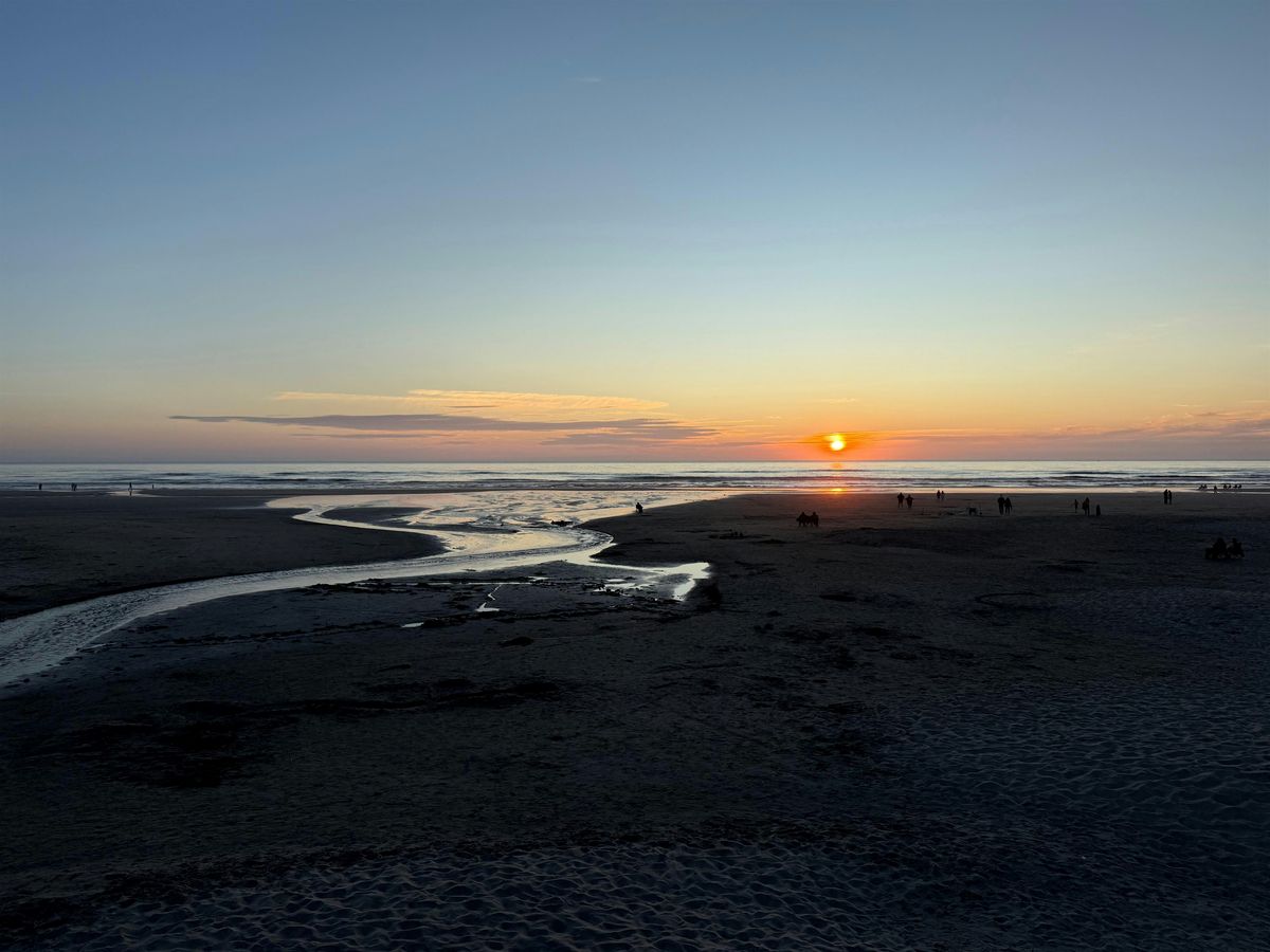 Here Comes the Sun: Junior Ecologists (ages 6-9)