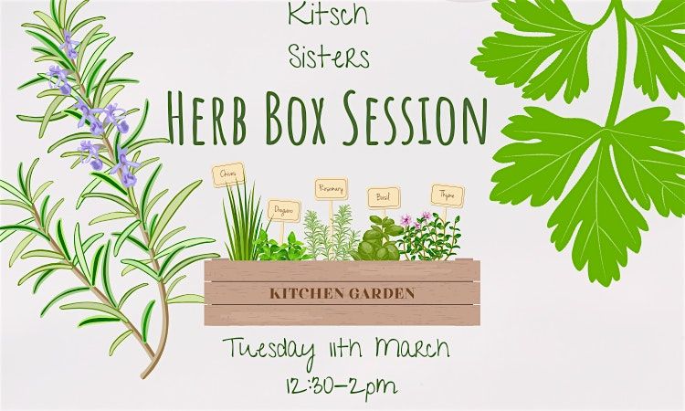 Herb Boxes Workshop