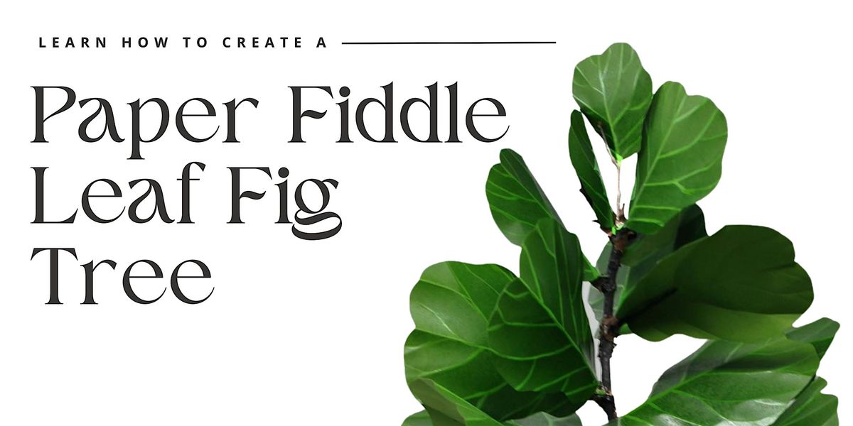 Learn to Create a Paper Fiddle Leaf Fig