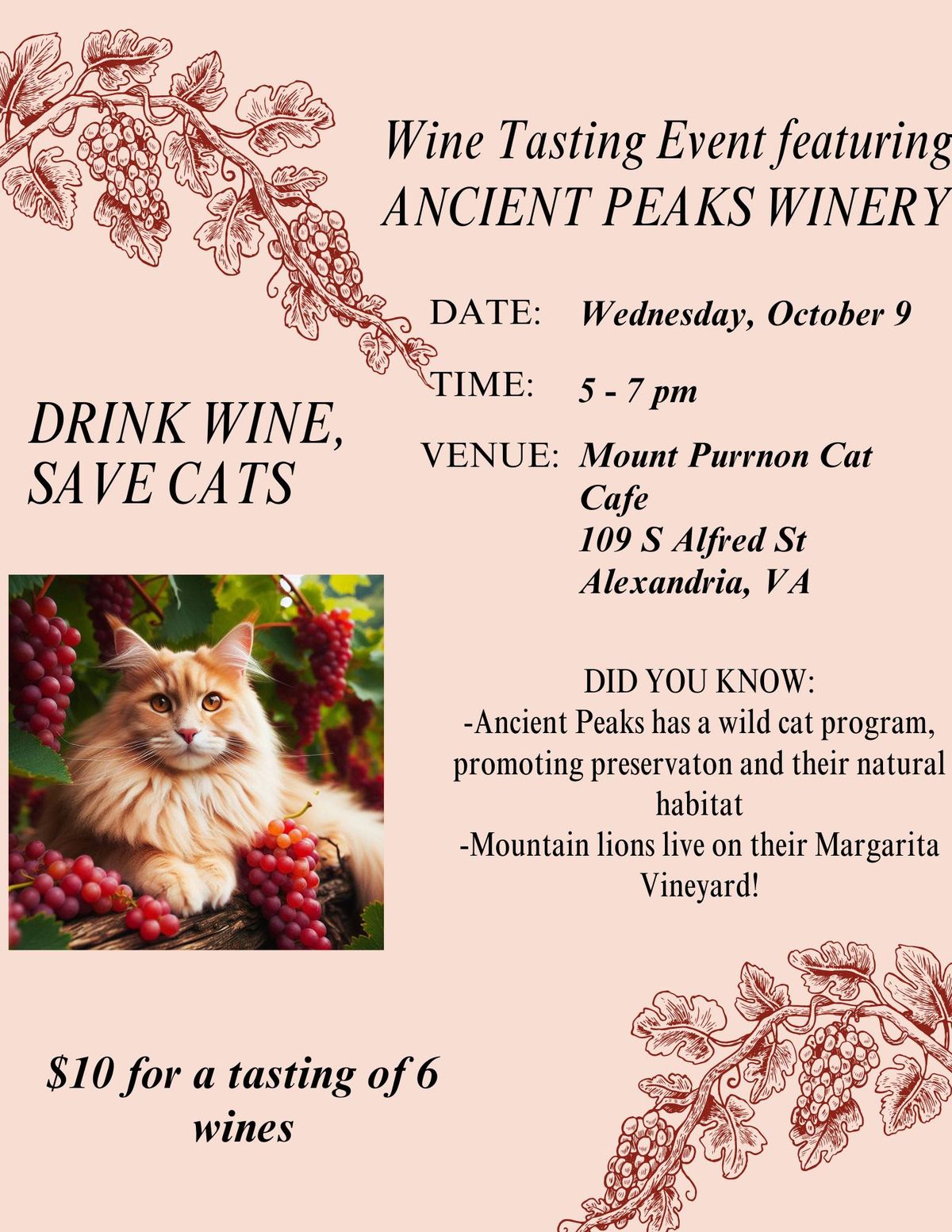 Wine Tasting Featuring Ancient Peaks