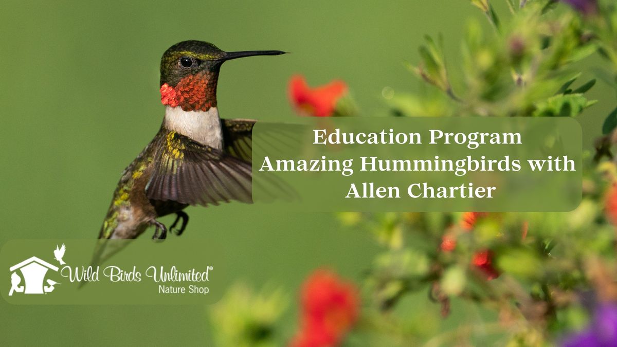Education Program - Amazing Hummingbirds With Allen Chartier